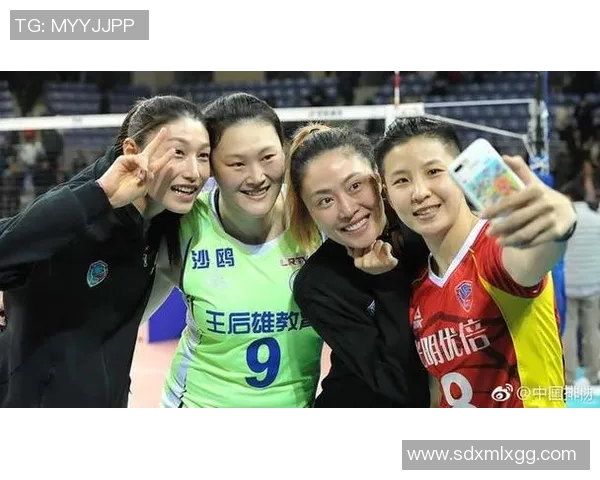 南京排球队团队协作引发热议球迷对战术配合和默契度的看法各异