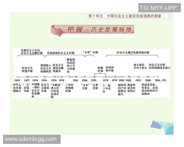 杭州乒乓球队转型之路的真实记录与发展历程探索