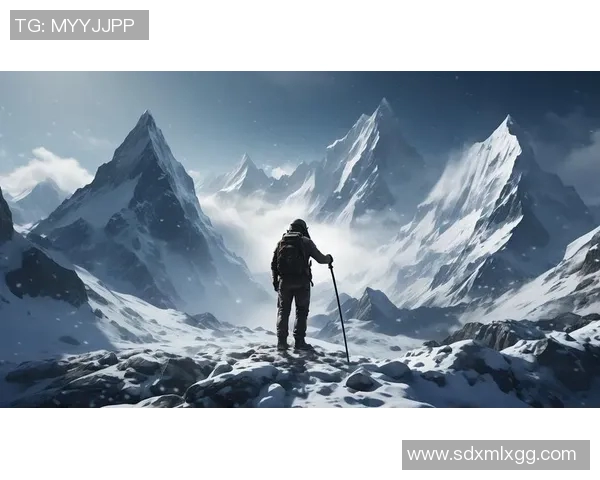 冠军荣耀再启航跨越挑战勇攀高峰的奋斗之路