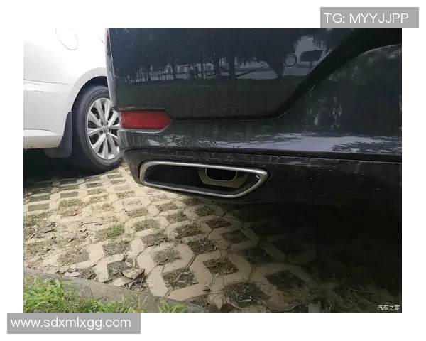 成都羽毛球队与武汉羽毛球队赛后复盘分析比赛节奏与战术对比