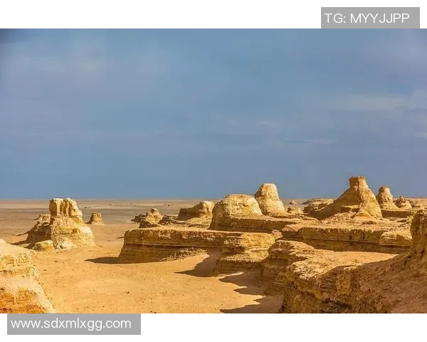 极限运动的成功秘诀陈芳分享她的心路历程与挑战体验