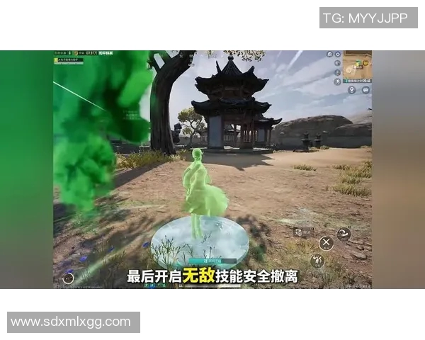 刘秀英专访：从初入游戏到和平精英的辉煌历程回顾与展望