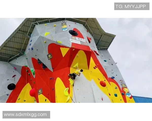 南京攀岩队状态分析与表现评估探讨及未来发展建议